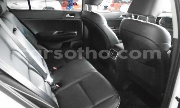 Buy Used Kia Sportage White Car in Maputsoa in Leribe Buy Used Kia Sportage White Car in Maputsoa in Leribe