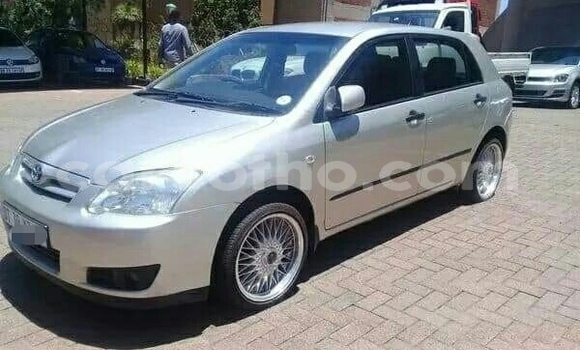 Acheter Occasion Voiture Toyota Runx Gris à Butha–Buthe, Thaba-Tseka Acheter Occasion Voiture Toyota Runx Gris à Butha–Buthe, Thaba-Tseka