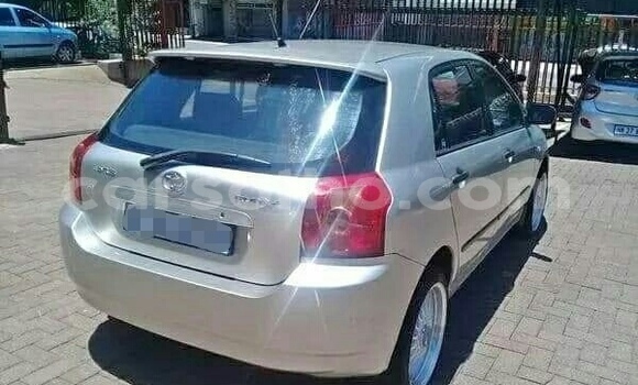 Acheter Occasion Voiture Toyota Runx Gris à Butha–Buthe, Thaba-Tseka Acheter Occasion Voiture Toyota Runx Gris à Butha–Buthe, Thaba-Tseka