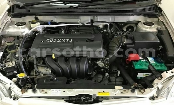 Acheter Occasion Voiture Toyota Runx Gris à Butha–Buthe, Thaba-Tseka Acheter Occasion Voiture Toyota Runx Gris à Butha–Buthe, Thaba-Tseka