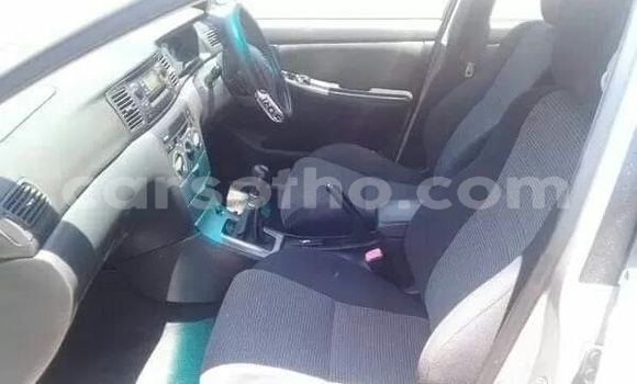 Acheter Occasion Voiture Toyota Runx Gris à Butha–Buthe, Thaba-Tseka Acheter Occasion Voiture Toyota Runx Gris à Butha–Buthe, Thaba-Tseka