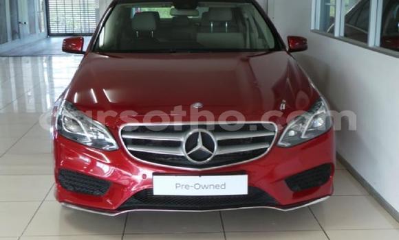 Sayi Na hannu Mercedes-Benz E-klasse AMG Red Mota in Mafeteng a Mafeteng Sayi Na hannu Mercedes-Benz E-klasse AMG Red Mota in Mafeteng a Mafeteng
