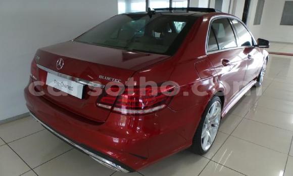 Sayi Na hannu Mercedes-Benz E-klasse AMG Red Mota in Mafeteng a Mafeteng Sayi Na hannu Mercedes-Benz E-klasse AMG Red Mota in Mafeteng a Mafeteng