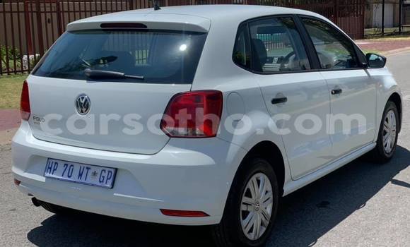 Buy Used Volkswagen Polo White Car in Maseru in Maseru Buy Used Volkswagen Polo White Car in Maseru in Maseru