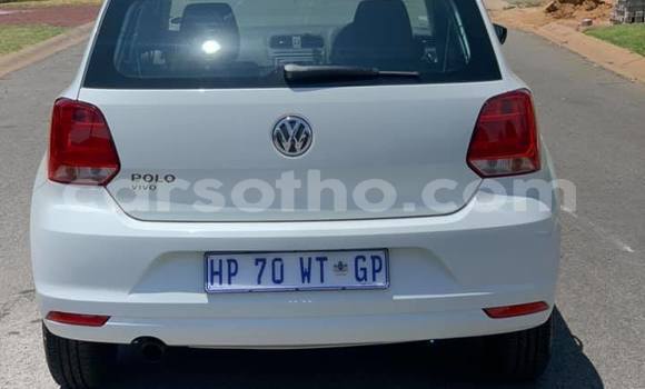 Buy Used Volkswagen Polo White Car in Maseru in Maseru Buy Used Volkswagen Polo White Car in Maseru in Maseru