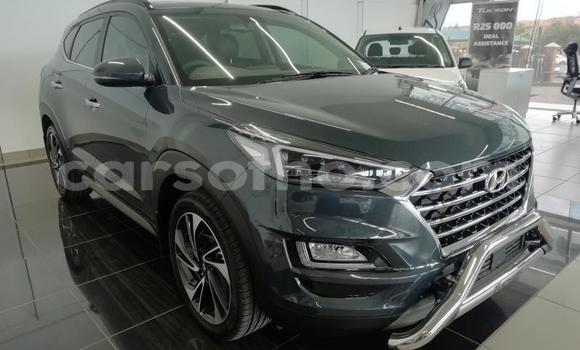 Acheter Occasion Voiture Hyundai Tucson Gris à Maputsoe, Leribe Acheter Occasion Voiture Hyundai Tucson Gris à Maputsoe, Leribe