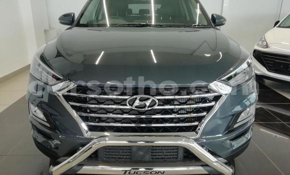 Acheter Occasion Voiture Hyundai Tucson Gris à Maputsoe, Leribe Acheter Occasion Voiture Hyundai Tucson Gris à Maputsoe, Leribe