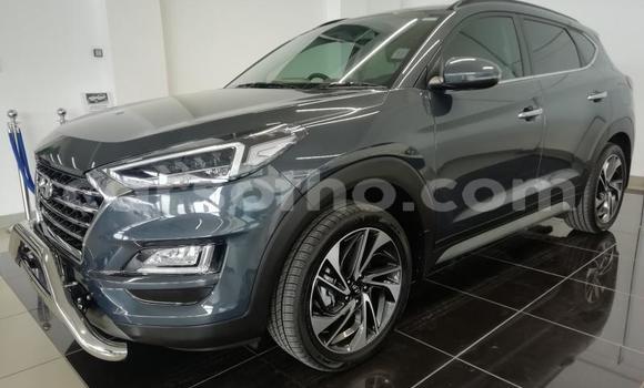 Acheter Occasion Voiture Hyundai Tucson Gris à Maputsoe, Leribe Acheter Occasion Voiture Hyundai Tucson Gris à Maputsoe, Leribe