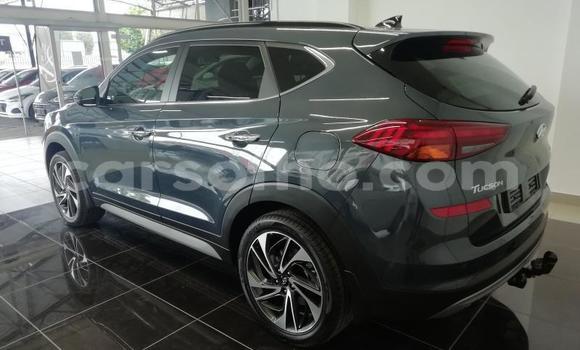 Acheter Occasion Voiture Hyundai Tucson Gris à Maputsoe, Leribe Acheter Occasion Voiture Hyundai Tucson Gris à Maputsoe, Leribe