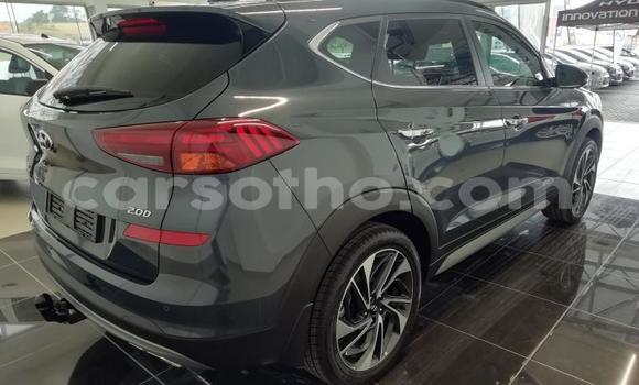 Acheter Occasion Voiture Hyundai Tucson Gris à Maputsoe, Leribe Acheter Occasion Voiture Hyundai Tucson Gris à Maputsoe, Leribe