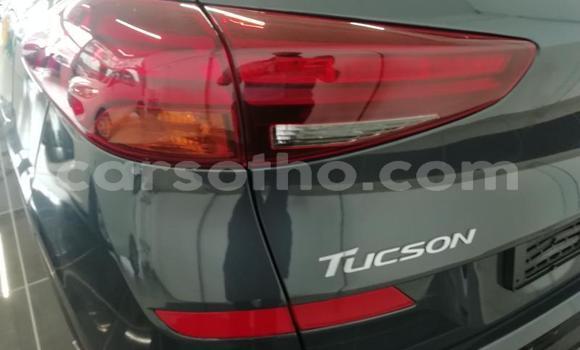 Acheter Occasion Voiture Hyundai Tucson Gris à Maputsoe, Leribe Acheter Occasion Voiture Hyundai Tucson Gris à Maputsoe, Leribe