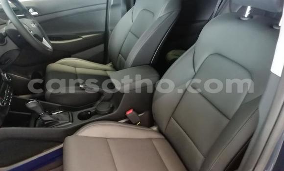 Acheter Occasion Voiture Hyundai Tucson Gris à Maputsoe, Leribe Acheter Occasion Voiture Hyundai Tucson Gris à Maputsoe, Leribe