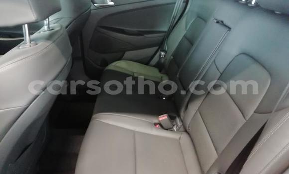 Acheter Occasion Voiture Hyundai Tucson Gris à Maputsoe, Leribe Acheter Occasion Voiture Hyundai Tucson Gris à Maputsoe, Leribe
