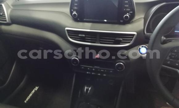 Acheter Occasion Voiture Hyundai Tucson Gris à Maputsoe, Leribe Acheter Occasion Voiture Hyundai Tucson Gris à Maputsoe, Leribe