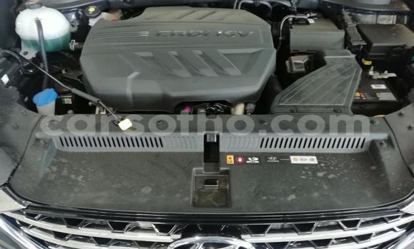 Acheter Occasion Voiture Hyundai Tucson Gris à Maputsoe, Leribe Acheter Occasion Voiture Hyundai Tucson Gris à Maputsoe, Leribe