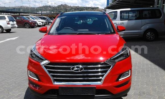 Acheter Occasion Voiture Hyundai Tucson Rouge à Maputsoa, Leribe Acheter Occasion Voiture Hyundai Tucson Rouge à Maputsoa, Leribe