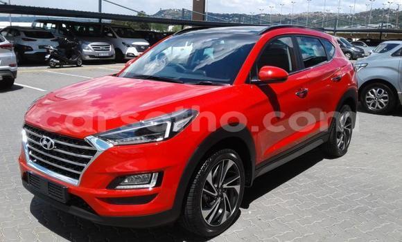 Acheter Occasion Voiture Hyundai Tucson Rouge à Maputsoa, Leribe Acheter Occasion Voiture Hyundai Tucson Rouge à Maputsoa, Leribe