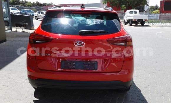 Acheter Occasion Voiture Hyundai Tucson Rouge à Maputsoa, Leribe Acheter Occasion Voiture Hyundai Tucson Rouge à Maputsoa, Leribe