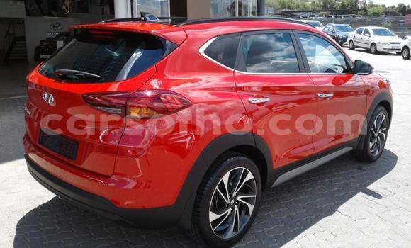 Acheter Occasion Voiture Hyundai Tucson Rouge à Maputsoa, Leribe Acheter Occasion Voiture Hyundai Tucson Rouge à Maputsoa, Leribe