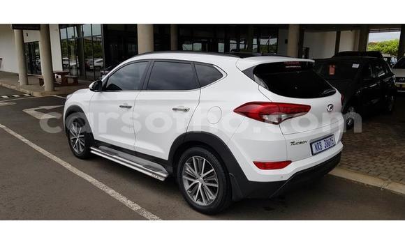 Acheter Occasion Voiture Hyundai Tucson Blanc à Maputsoa, Leribe Acheter Occasion Voiture Hyundai Tucson Blanc à Maputsoa, Leribe
