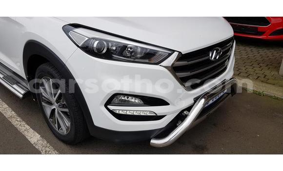 Acheter Occasion Voiture Hyundai Tucson Blanc à Maputsoa, Leribe Acheter Occasion Voiture Hyundai Tucson Blanc à Maputsoa, Leribe
