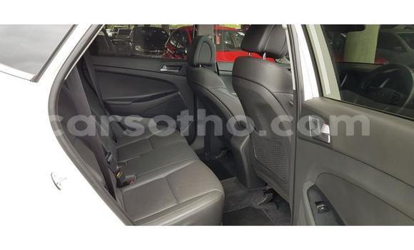 Acheter Occasion Voiture Hyundai Tucson Blanc à Maputsoa, Leribe Acheter Occasion Voiture Hyundai Tucson Blanc à Maputsoa, Leribe
