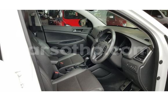 Acheter Occasion Voiture Hyundai Tucson Blanc à Maputsoa, Leribe Acheter Occasion Voiture Hyundai Tucson Blanc à Maputsoa, Leribe