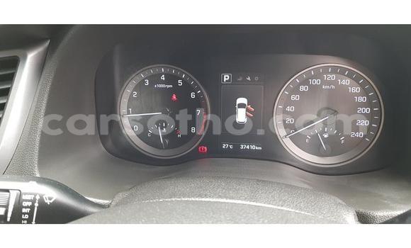 Acheter Occasion Voiture Hyundai Tucson Blanc à Maputsoa, Leribe Acheter Occasion Voiture Hyundai Tucson Blanc à Maputsoa, Leribe