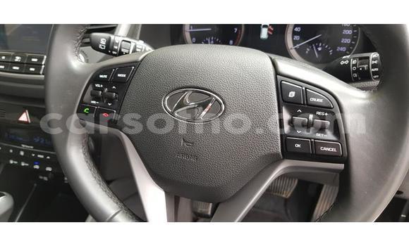 Acheter Occasion Voiture Hyundai Tucson Blanc à Maputsoa, Leribe Acheter Occasion Voiture Hyundai Tucson Blanc à Maputsoa, Leribe