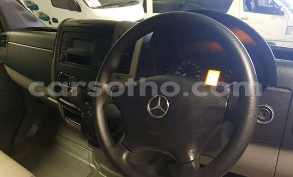 Buy Used Mercedes‒Benz Sprinter White Truck in Maseru in Maseru Buy Used Mercedes‒Benz Sprinter White Truck in Maseru in Maseru