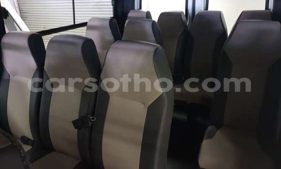 Buy Used Mercedes‒Benz Sprinter White Truck in Maseru in Maseru Buy Used Mercedes‒Benz Sprinter White Truck in Maseru in Maseru