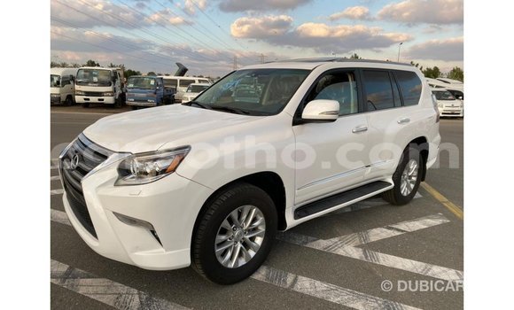 Buy Import Lexus GX White Car in Import - Dubai in Maseru Buy Import Lexus GX White Car in Import - Dubai in Maseru