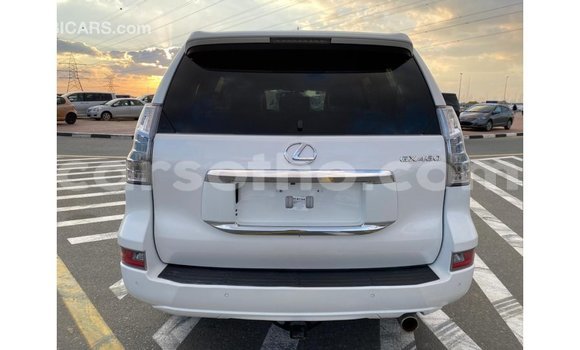 Buy Import Lexus GX White Car in Import - Dubai in Maseru Buy Import Lexus GX White Car in Import - Dubai in Maseru