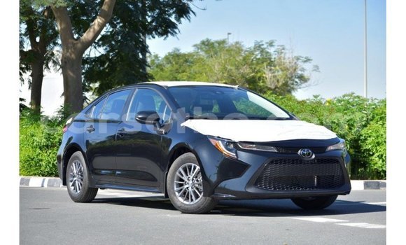 Buy Import Toyota Corolla Black Car in Import - Dubai in Maseru Buy Import Toyota Corolla Black Car in Import - Dubai in Maseru