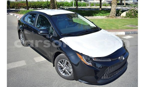 Buy Import Toyota Corolla Black Car in Import - Dubai in Maseru Buy Import Toyota Corolla Black Car in Import - Dubai in Maseru