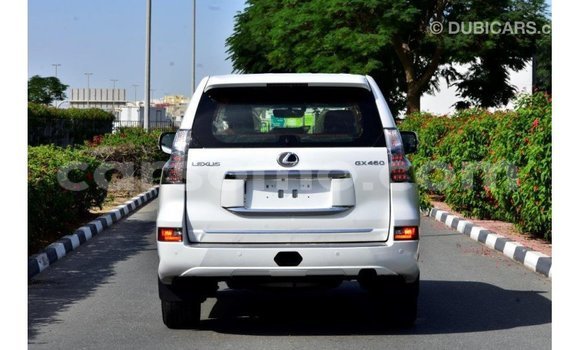 Buy Import Lexus GX White Car in Import - Dubai in Maseru Buy Import Lexus GX White Car in Import - Dubai in Maseru