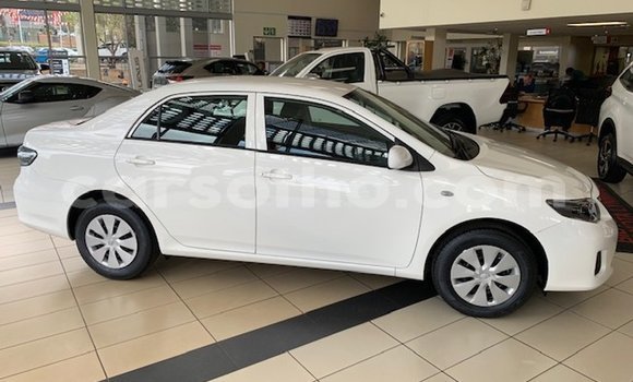 اشتري مستعمل Toyota Corolla Green سيارة في Maseru في Maseru اشتري مستعمل Toyota Corolla Green سيارة في Maseru في Maseru