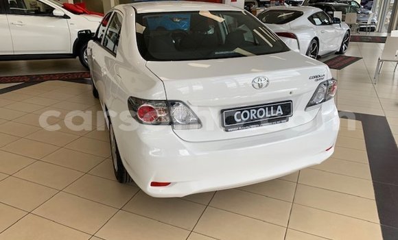 اشتري مستعمل Toyota Corolla Green سيارة في Maseru في Maseru اشتري مستعمل Toyota Corolla Green سيارة في Maseru في Maseru