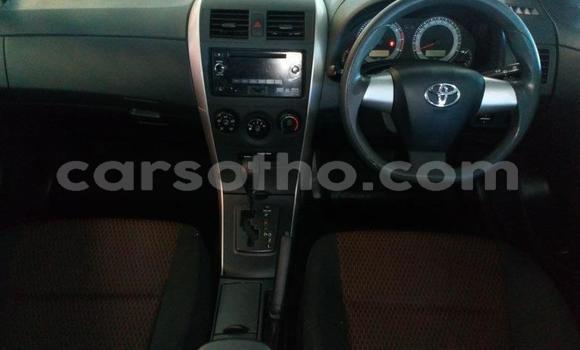 اشتري مستعمل Toyota Corolla Green سيارة في Maseru في Maseru اشتري مستعمل Toyota Corolla Green سيارة في Maseru في Maseru