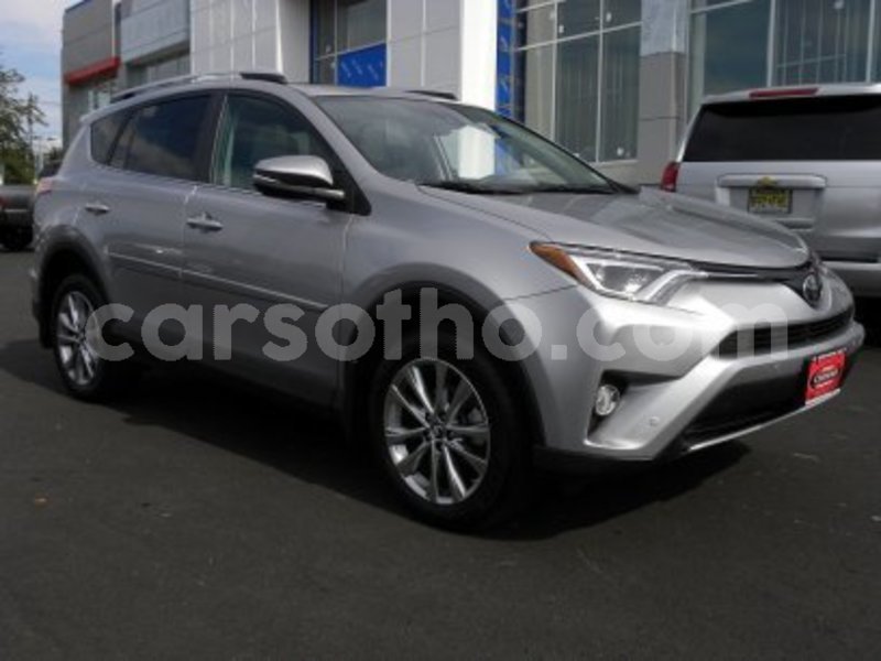 Big with watermark d989bd7cb34c45a7af4ba7fe4cd1df1d