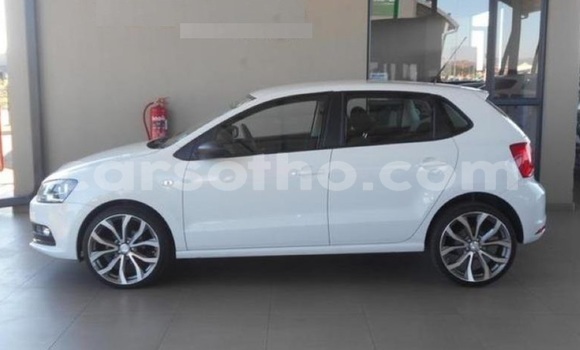 Buy Used Volkswagen Polo White Car in Mafeteng in Mafeteng Buy Used Volkswagen Polo White Car in Mafeteng in Mafeteng