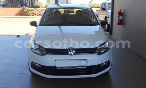 Buy Used Volkswagen Polo White Car in Mafeteng in Mafeteng Buy Used Volkswagen Polo White Car in Mafeteng in Mafeteng