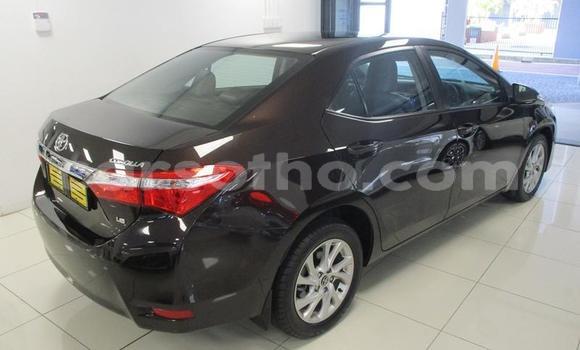 Acheter Occasion Voiture Toyota Corolla Noir à Maseru, Maseru Acheter Occasion Voiture Toyota Corolla Noir à Maseru, Maseru
