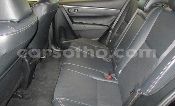Acheter Occasion Voiture Toyota Corolla Noir à Maseru, Maseru Acheter Occasion Voiture Toyota Corolla Noir à Maseru, Maseru