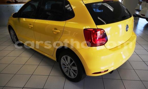 Buy Used Volkswagen Polo Other Car in Maseru in Maseru Buy Used Volkswagen Polo Other Car in Maseru in Maseru