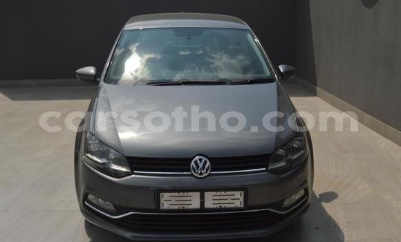 اشتري مستعمل Volkswagen Polo Other سيارة في Hlotse في Leribe اشتري مستعمل Volkswagen Polo Other سيارة في Hlotse في Leribe