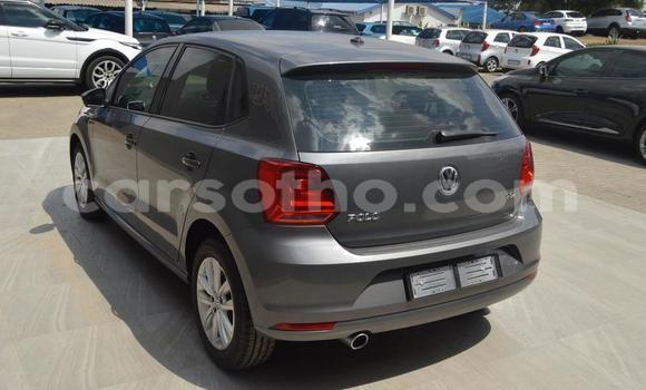 اشتري مستعمل Volkswagen Polo Other سيارة في Hlotse في Leribe اشتري مستعمل Volkswagen Polo Other سيارة في Hlotse في Leribe