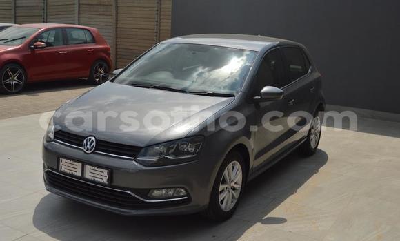 اشتري مستعمل Volkswagen Polo Other سيارة في Hlotse في Leribe اشتري مستعمل Volkswagen Polo Other سيارة في Hlotse في Leribe