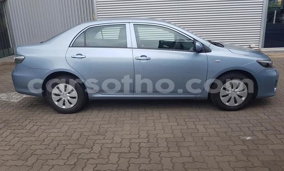 Acheter Occasion Voiture Toyota Corolla Bleu à Maputsoe, Leribe Acheter Occasion Voiture Toyota Corolla Bleu à Maputsoe, Leribe