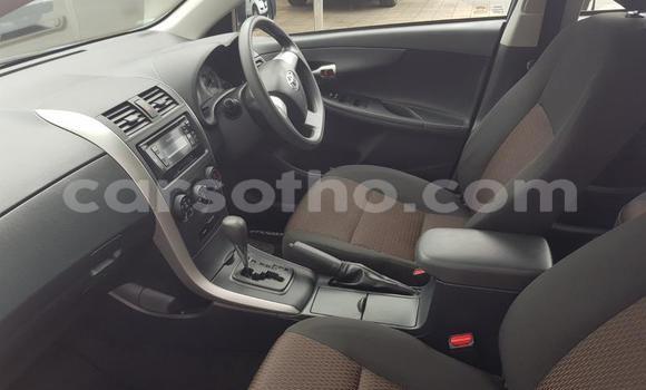 Acheter Occasion Voiture Toyota Corolla Bleu à Maputsoe, Leribe Acheter Occasion Voiture Toyota Corolla Bleu à Maputsoe, Leribe